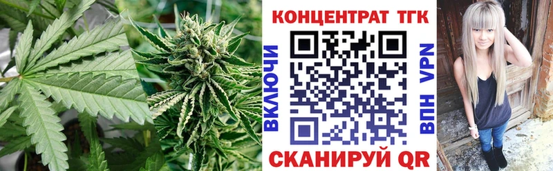 ТГК концентрат  Купить закладки  Дигора 